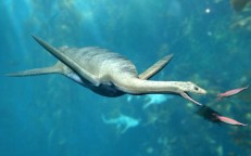 Αrchaeologists were amazed when the remains of the 150-million-year-old “Loch Ness monster” 3 meters high floated on the Morocco Rive