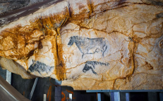 Grotte Cosquer à Marseille : une course contre la montre pour sauver un joyau du patrimoine préhistorique mondial