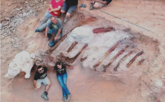 Man Finds Skeleton in His Backyard – Turns Out It’s the Largest Dinosaur Ever Found in Europe