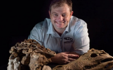 Found 95 million-year-old Foѕѕіlѕ Of ‘Terrіble’ Crocodiles That Eаt Dinosaurs