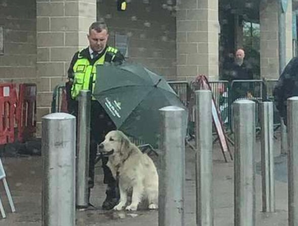 He sacrificed his umbrella for a dog waiting for its mother in the rain