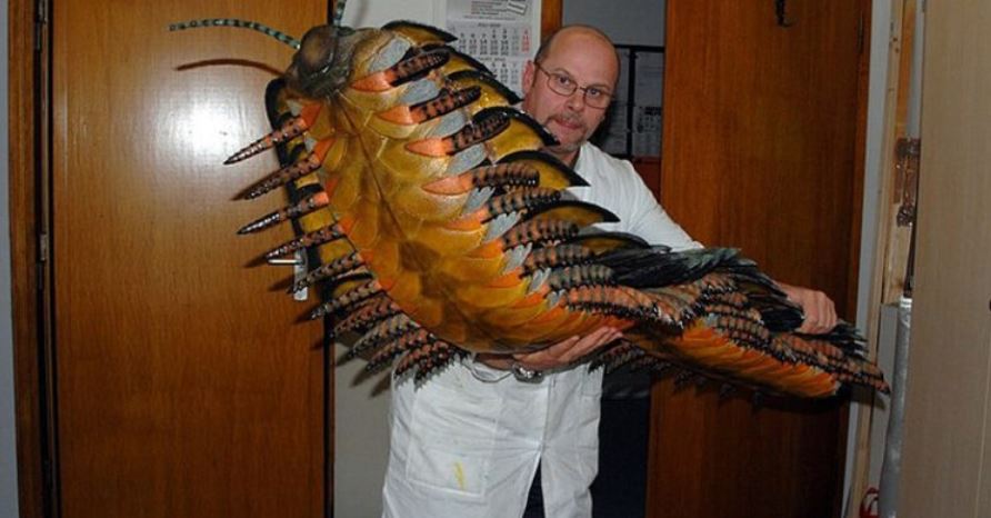 British Wildlife Reveals a Remarkable 2.7-Meter-Long Centipede