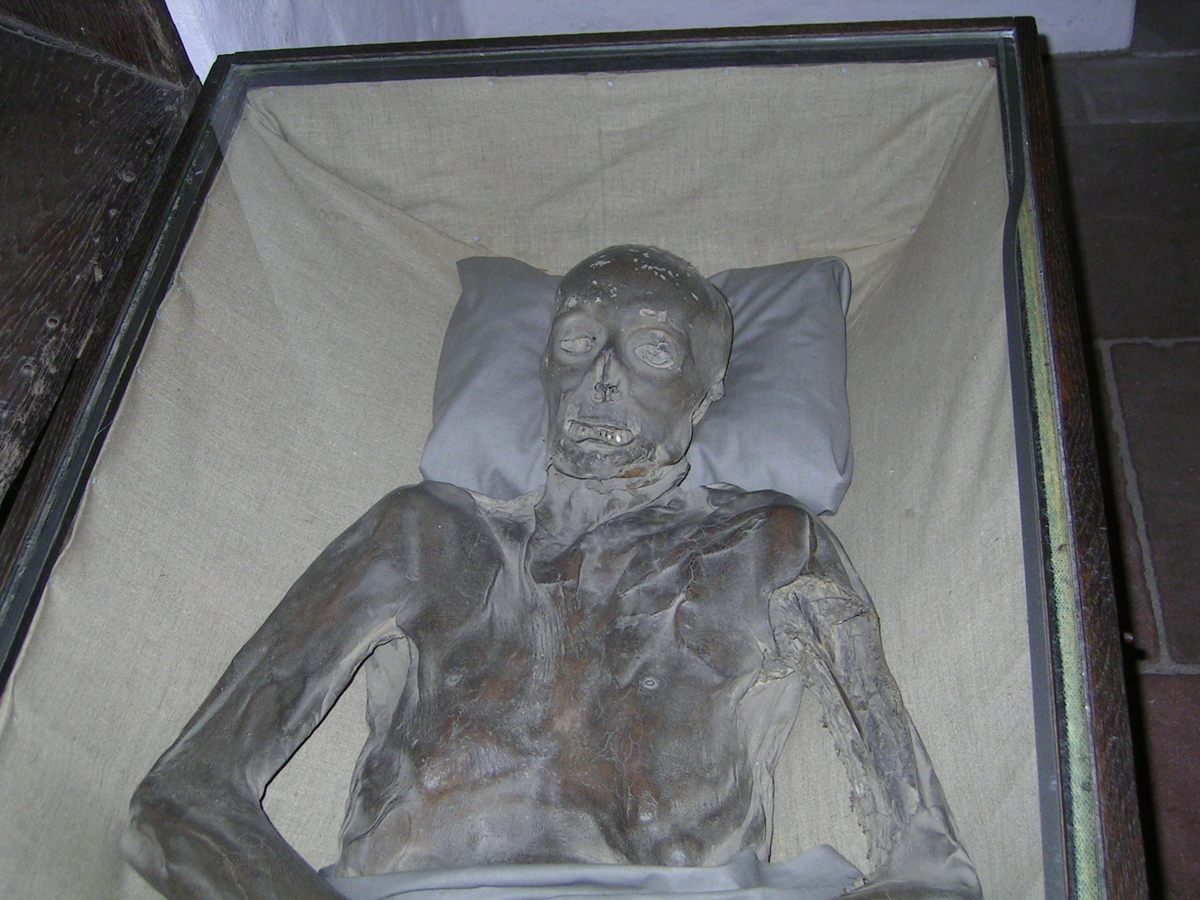 Eight naturally mummified bodies in glass coffins lie in an underground crypt.