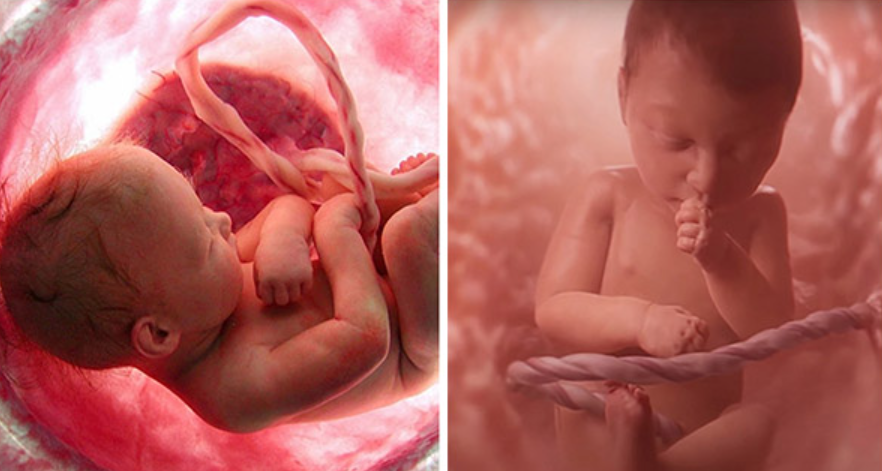 Astounding Facts About Unborn Infants