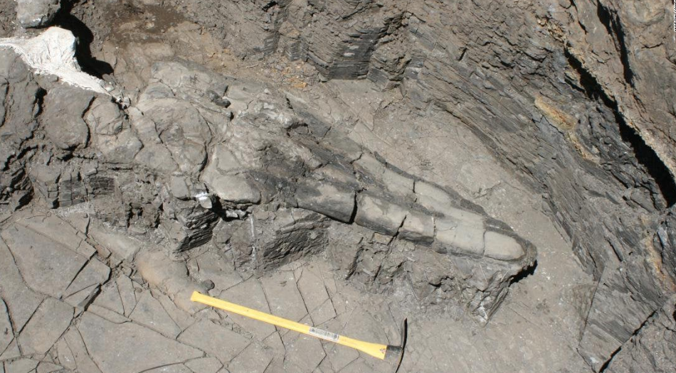 Canada : Α 17m “sea dragon” fossil discovered going back roughly 246 million years