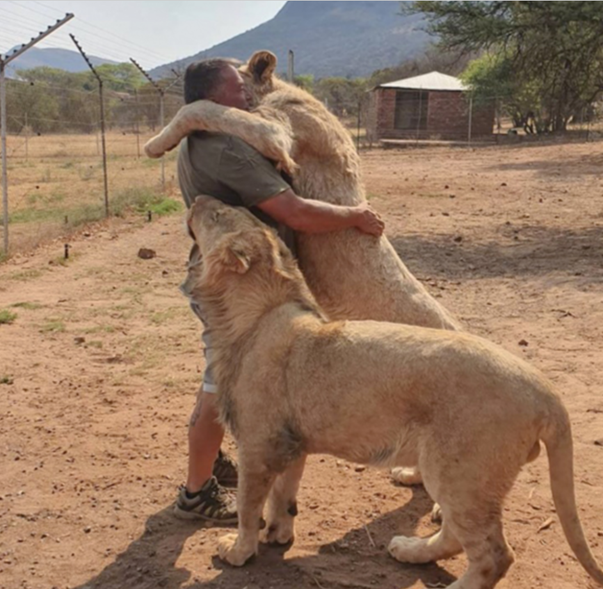 Meet The Man Whose Time Is Spent Petting Lions And Tigers.
